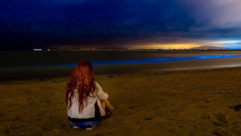 Женщина на пляже Аверавон, Порт-Талбот, смотрит, чтобы видеть с освещенным биолюминесцентным планктоном