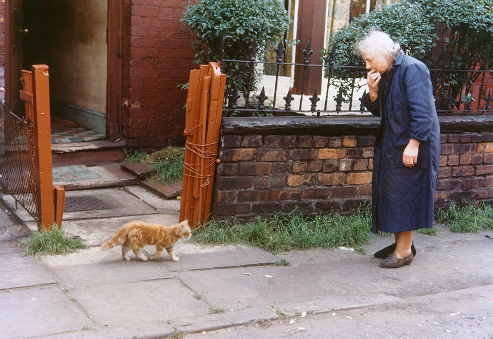 Пожилая женщина смотрит на кошку на тротуаре