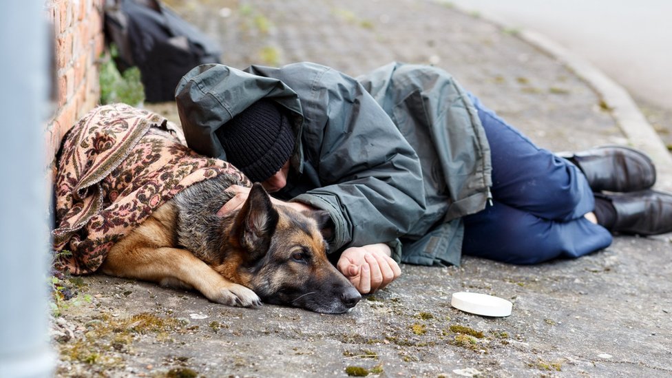 Бездомный с собакой