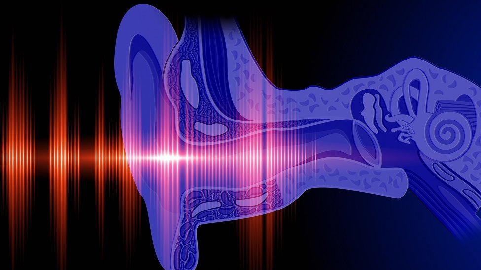 Representación gráfica de cómo el oído humano percibe los sonidos.