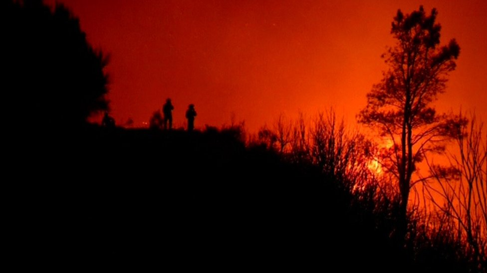 Firefighters battle to extinguish final Madeira fires BBC News