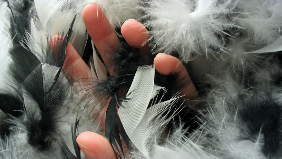 Suave, caliente, liviano... mano plumas