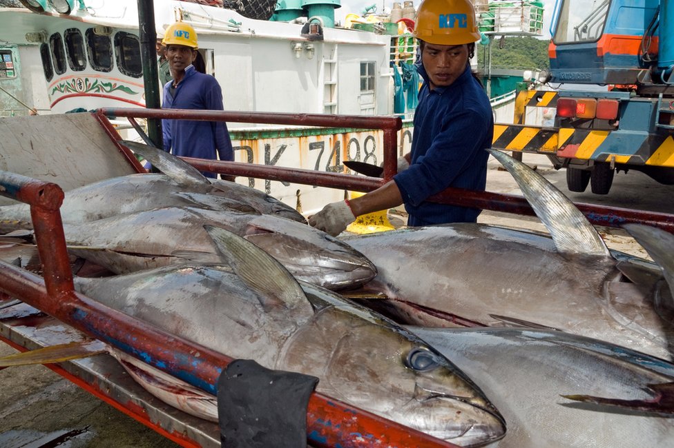 Las aguas que rodean a Palaos constituyen una importante reserva marina. Pescadores en el puerto de Malakal, en Koror, una de las islas de Palaos.