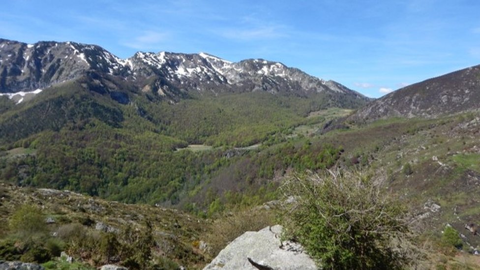 Полевой участок в Пиренейских горах