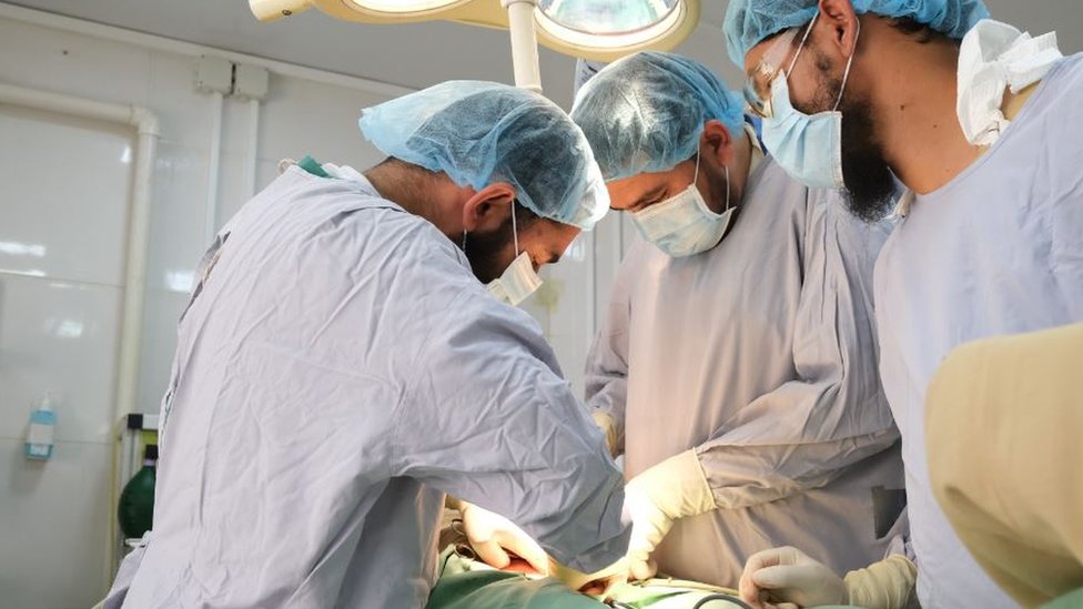 dokter