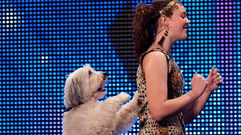 Britain S Got Talent Champion Dog Pudsey Dies Bbc News
