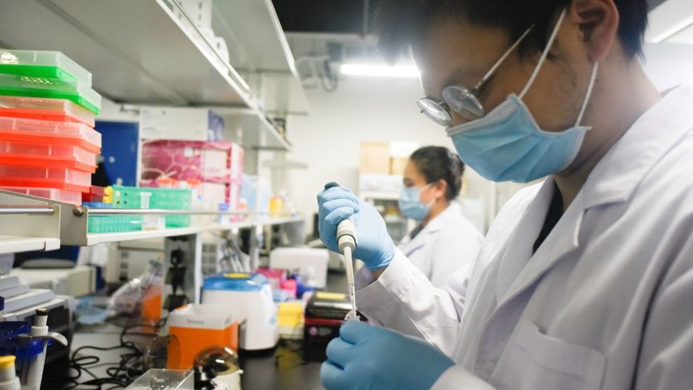 Científicos examinando terapias contra el virus en China.