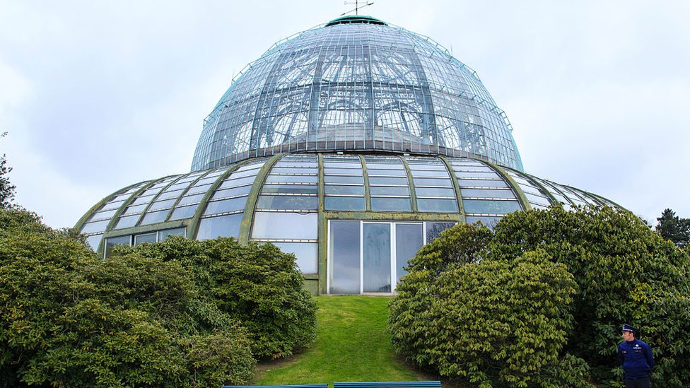 En los jardines del Palacio Real de Laeken, Leopoldo II ordenó construir este invernadero para celebrar la adquisición del Congo.