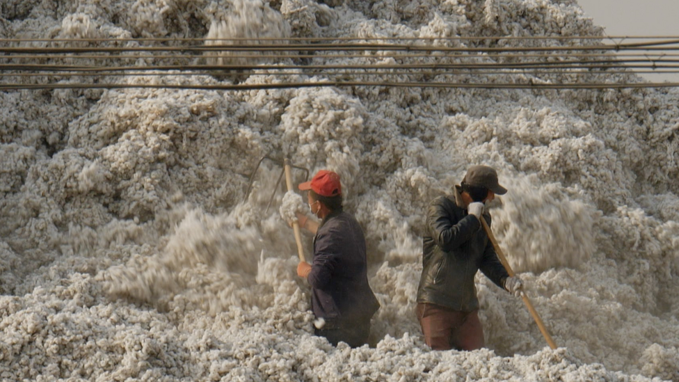 Cotton workers in Xinjiang