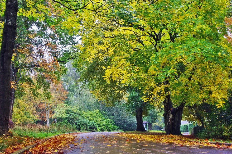 Кампердаун Парк