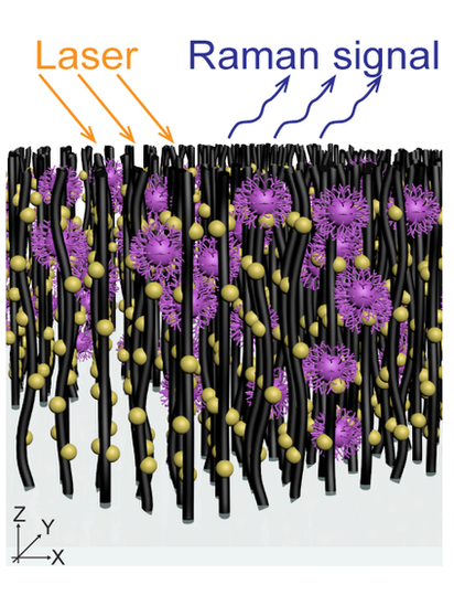 Bosque de nanotubos