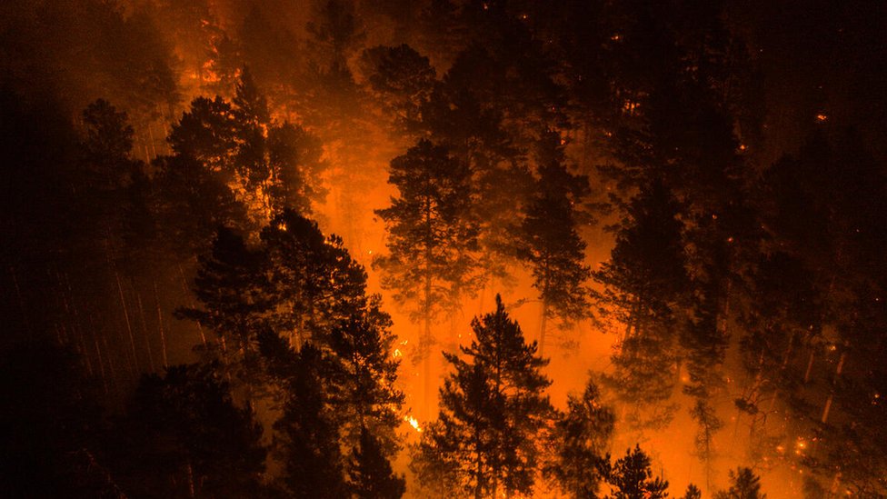 Forest fire in Siberia