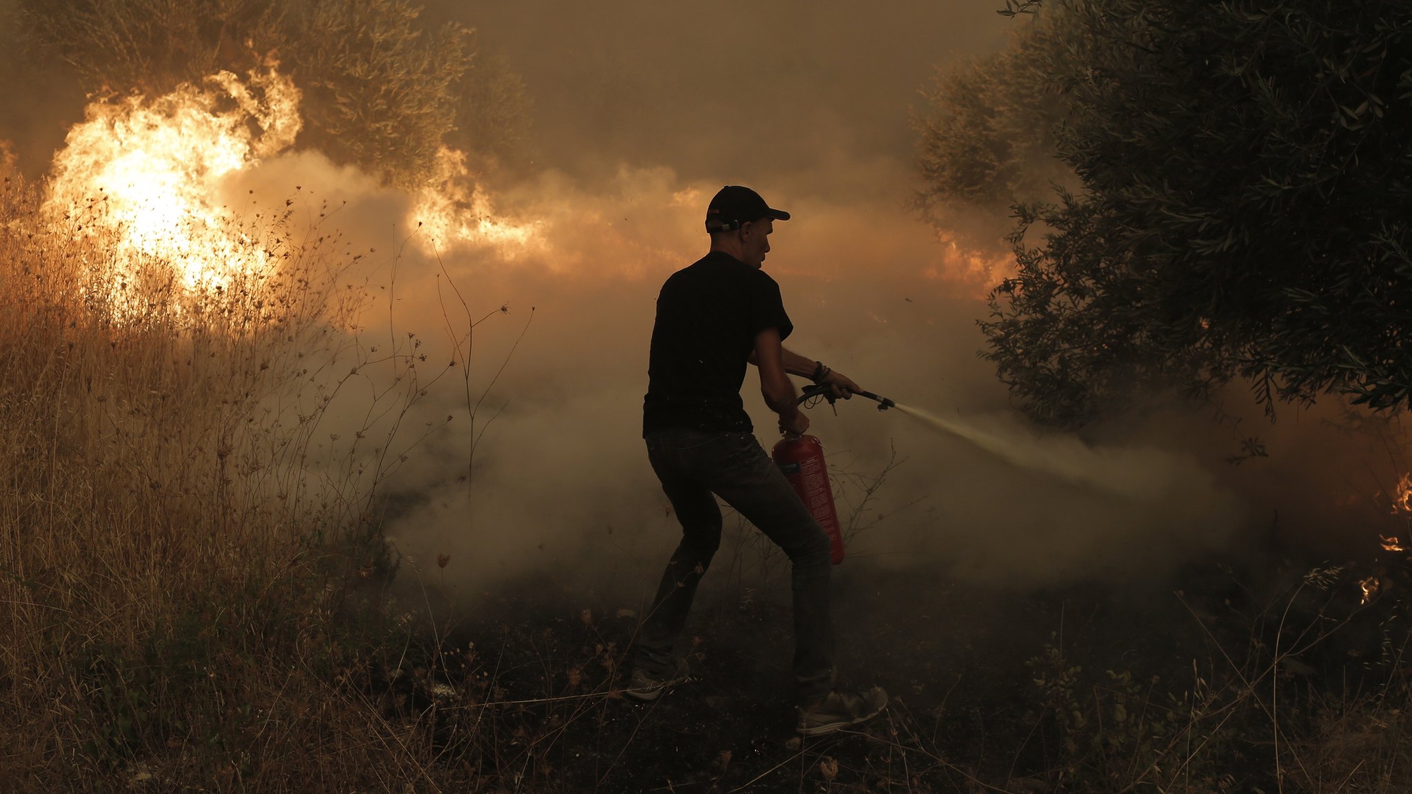 Greece wildfires: 'It's like a horror movie but it's real life'