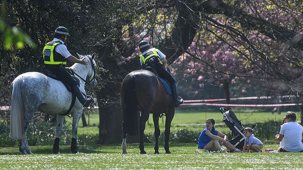 Полиция на лошадях разговаривает с людьми на пикнике