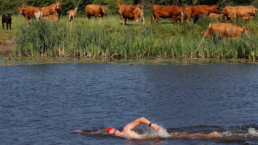 Пловец команды Великобритании Тоби Робинсон во время тренировки в реке Соар