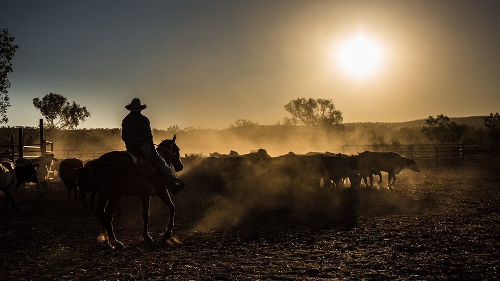 Un vaquero en Australia.
