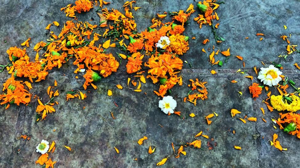 Flores en el piso
