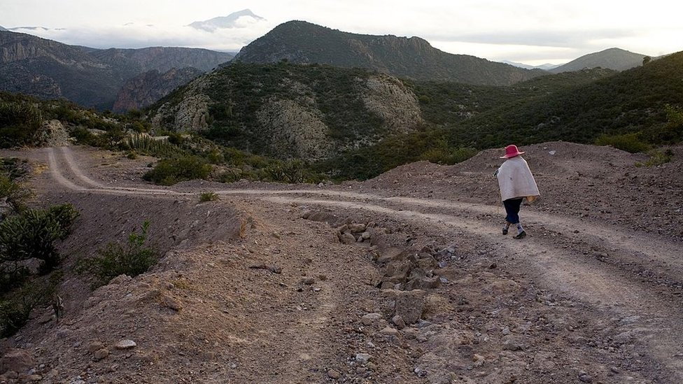 Un mujer camina por una carretera de tierra en Hidalgo, México.