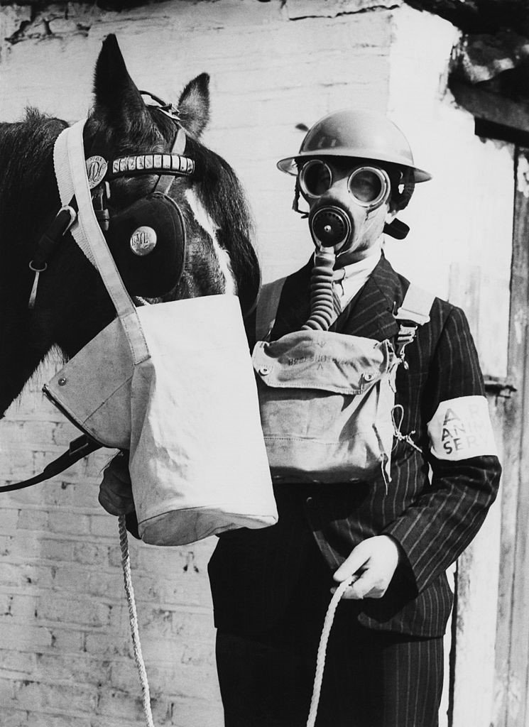 Cavalo com máscara de gás