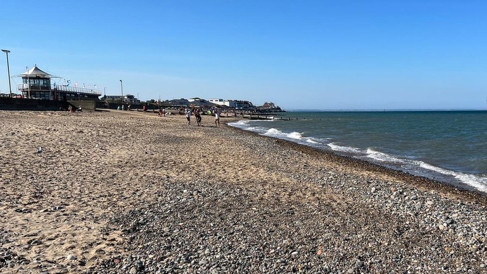 can you walk dogs on hornsea beach