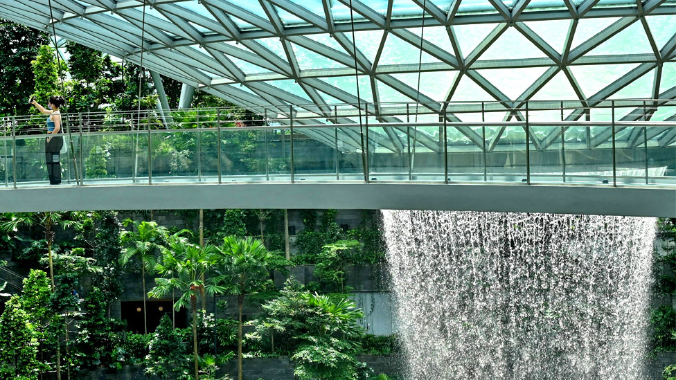 Singapore's Changi Airport Is Getting a Canopy Bridge and Two Mazes