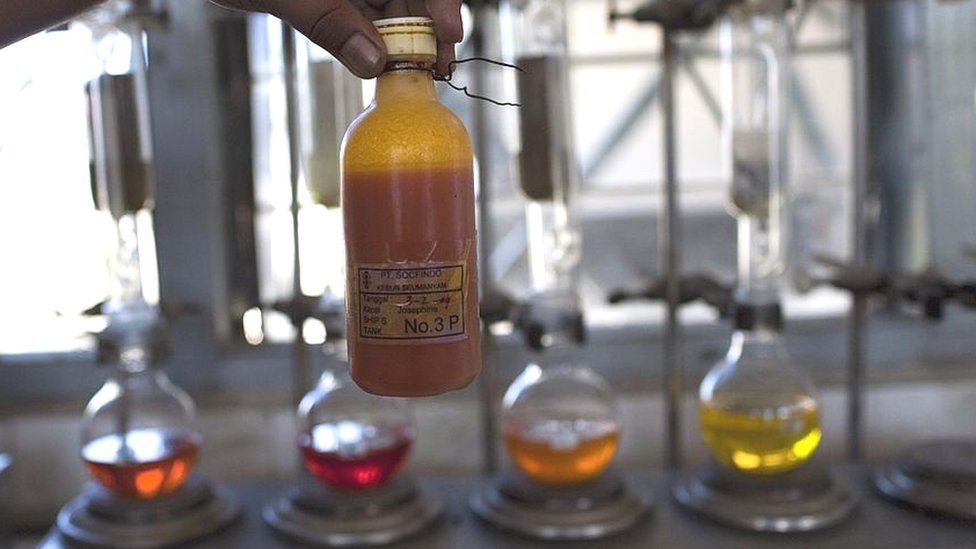 Raw palm oil at a processing plant in Aceh province, Indonesia