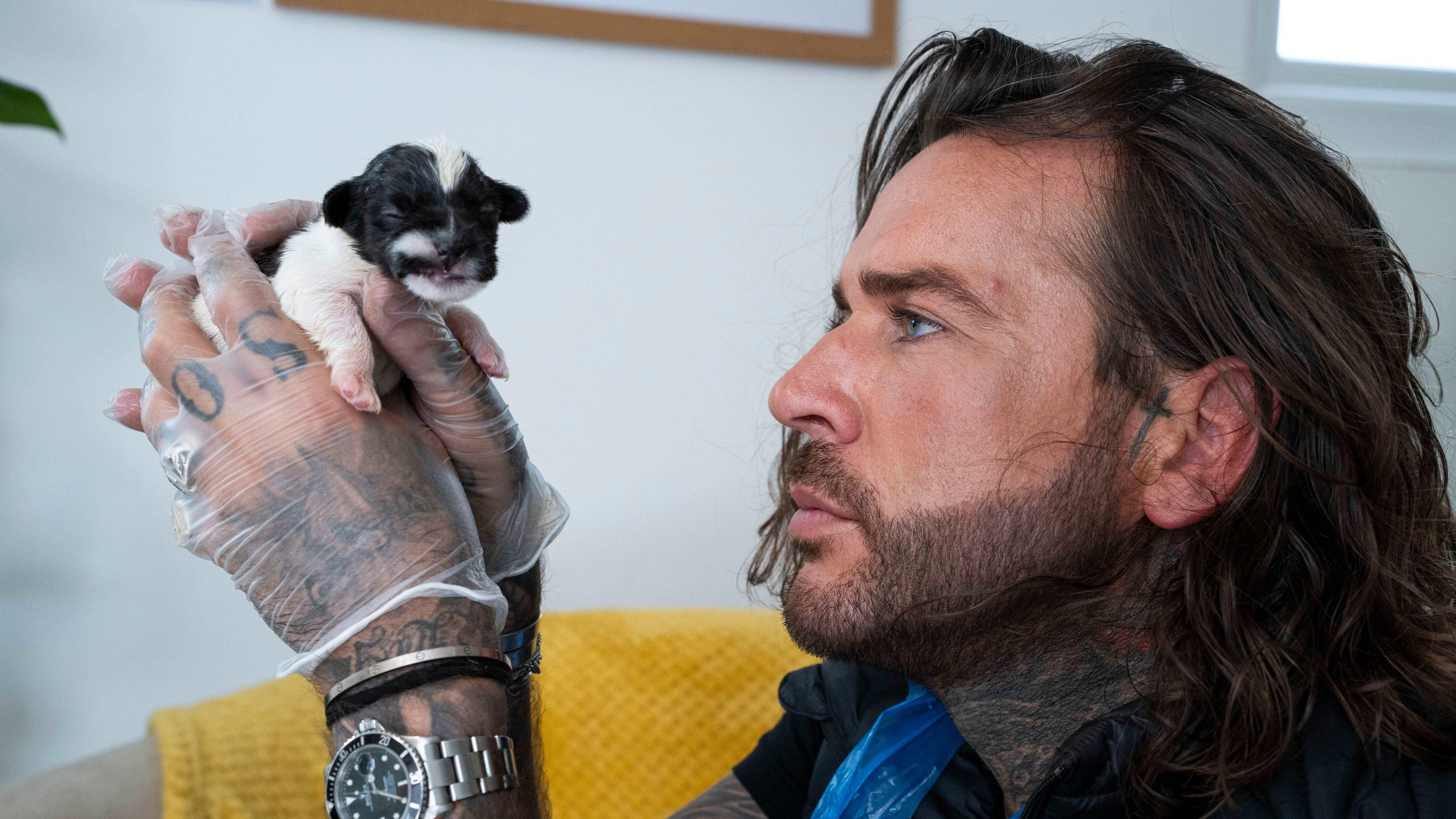 Pete Wicks showcases Dogs Trust work in new TV show