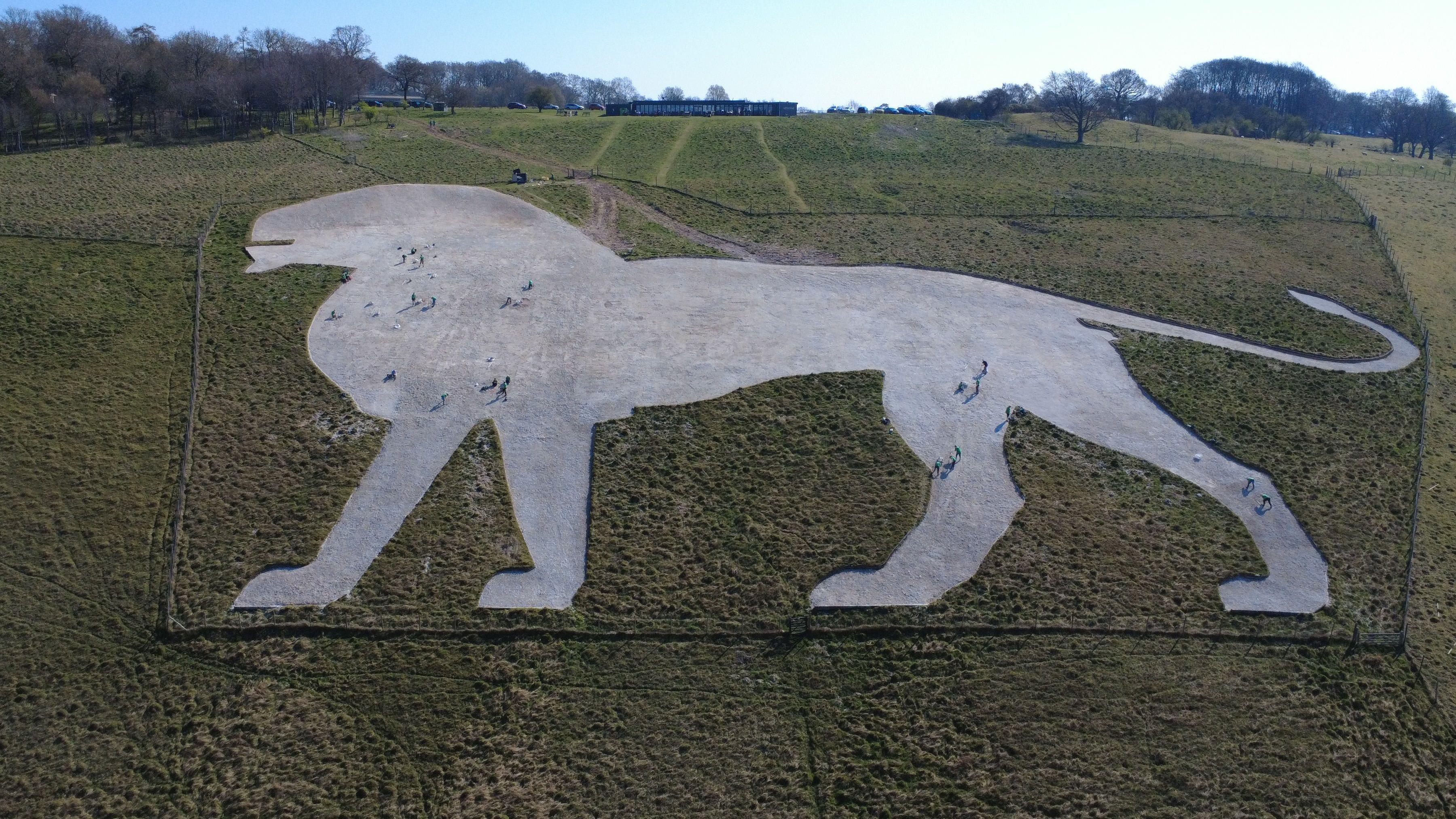 Whipsnade Zoo lion to be renovated with tonnes of chalk