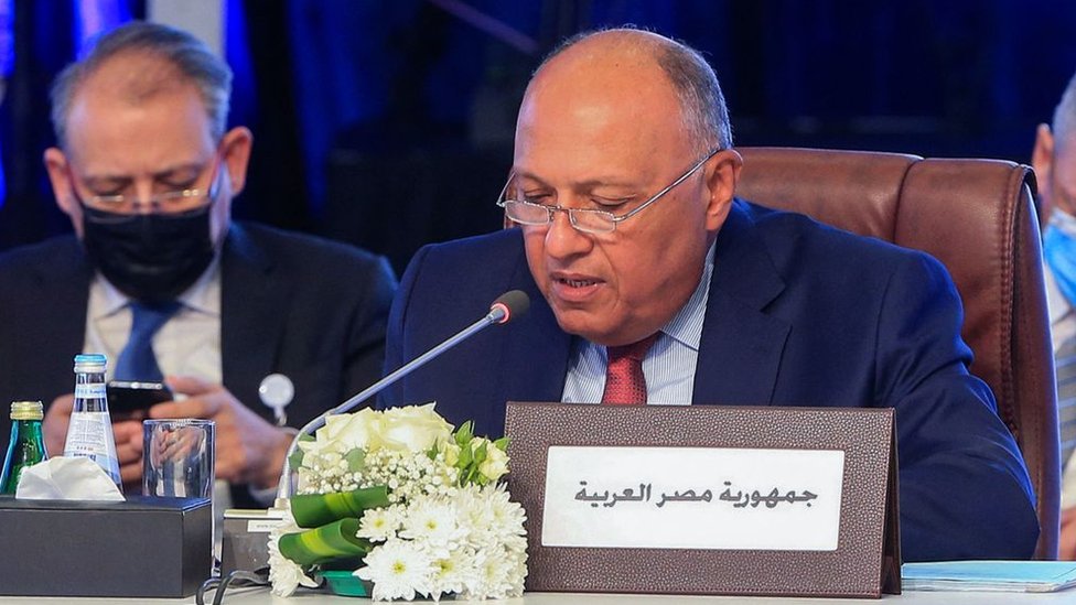 سامح شكري