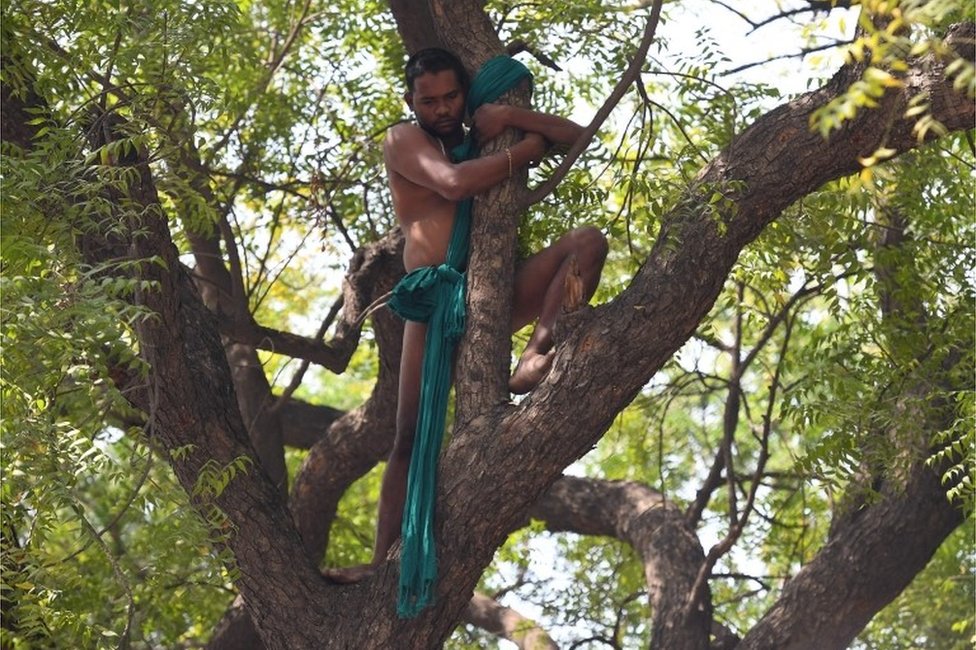 Los bomberos debieron rescatar a este manifestante que amenazó con quitarse la vida colgándose de un árbol. Agricultor abrazado a un árbol.