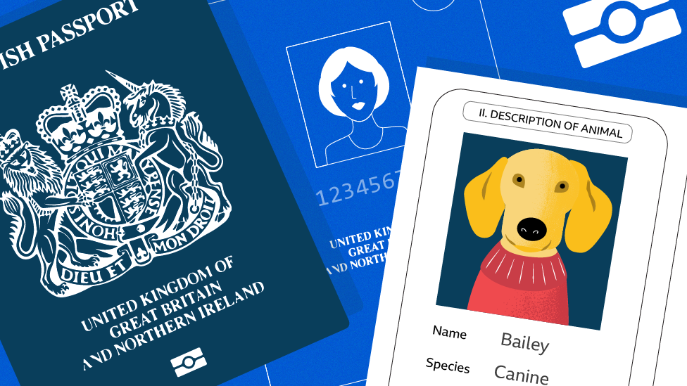Current EU pet passport issued in the UK will not be valid for travel from 1 January 2021