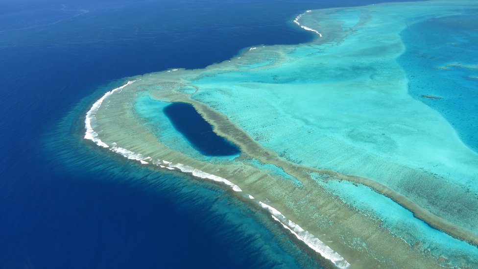 Barrera de coral de Caledonia