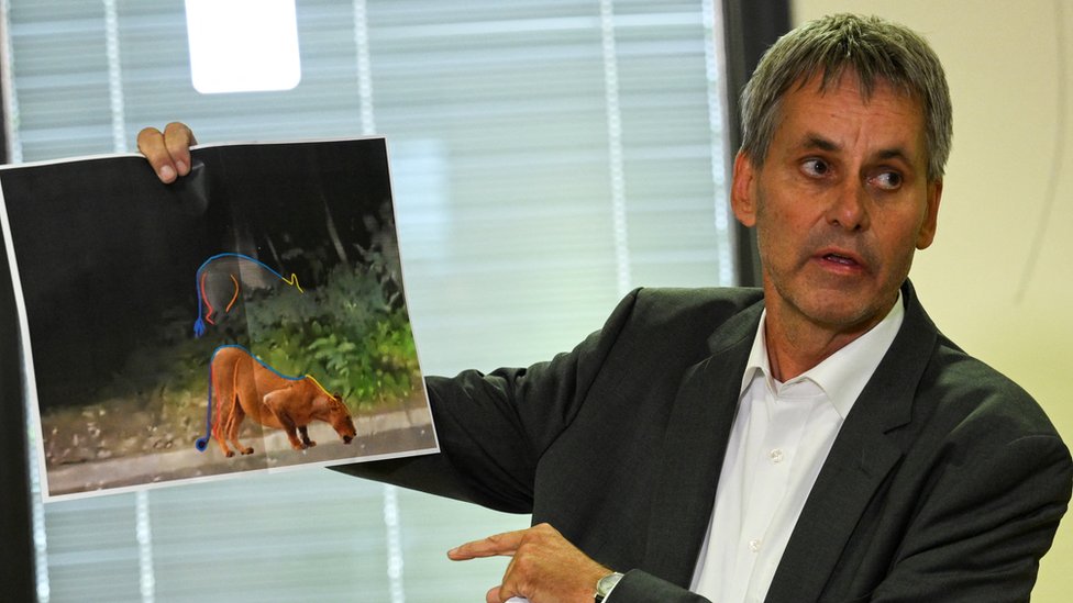Nemačka: Odbegla divlja životinja više od 24 sata šeta Berlinom, vlasti veruju da je ipak reč o vepru 4 Michael Grubert, Mayor of Kleinmachnow, holds a picture which shows that suspected animal on the loose