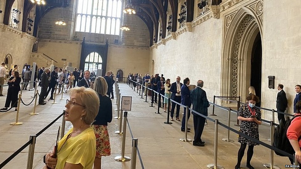 Депутаты в очереди на голосование в Вестминстер-холле