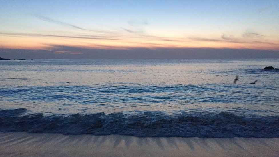Atardecer en la playa.
