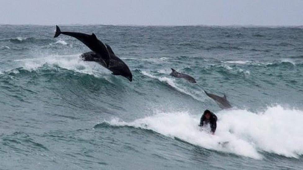 porthmeor surf cam