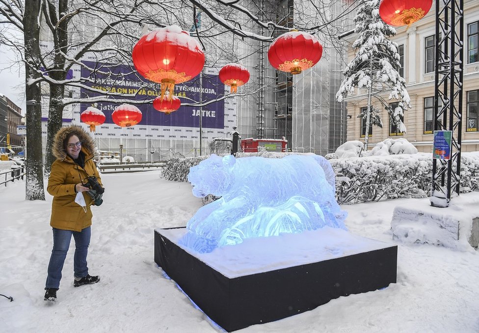 在芬蘭赫爾辛基，該城展示冰雕慶祝到來的中國農曆新年。圖為一名婦女站在「虎年」的老虎冰雕旁邊。