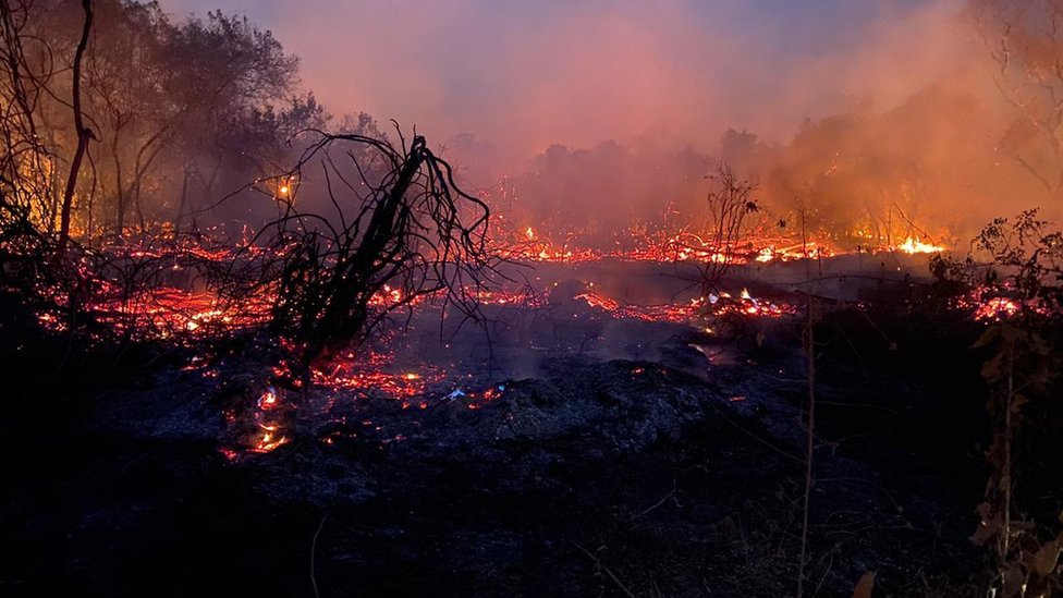 Fuego en el Pantanal.