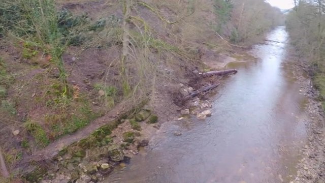 Allen Banks near Bardon Mill