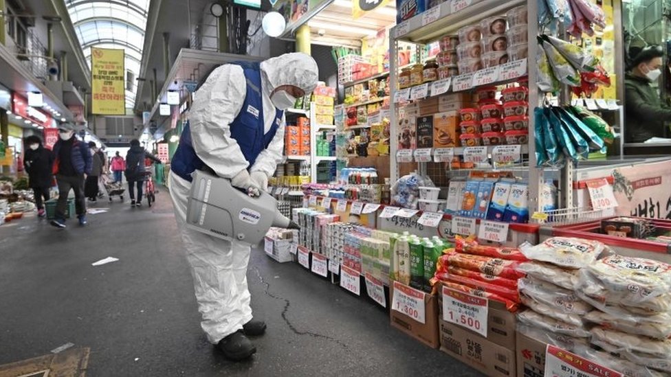 Рабочий распыляет дезинфицирующее средство, чтобы предотвратить распространение нового коронавируса на рынке в Сеуле