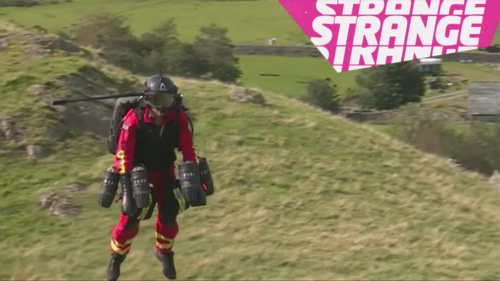 Strange News The Oddest Stories Of The Week Cbbc Newsround Strange News The Oddest Stories Of The Week Cbbc Newsround