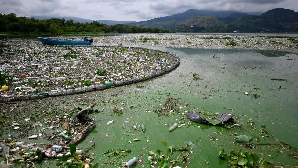 Redes recolectando la basura del lago Amatitlán, en Guatemala