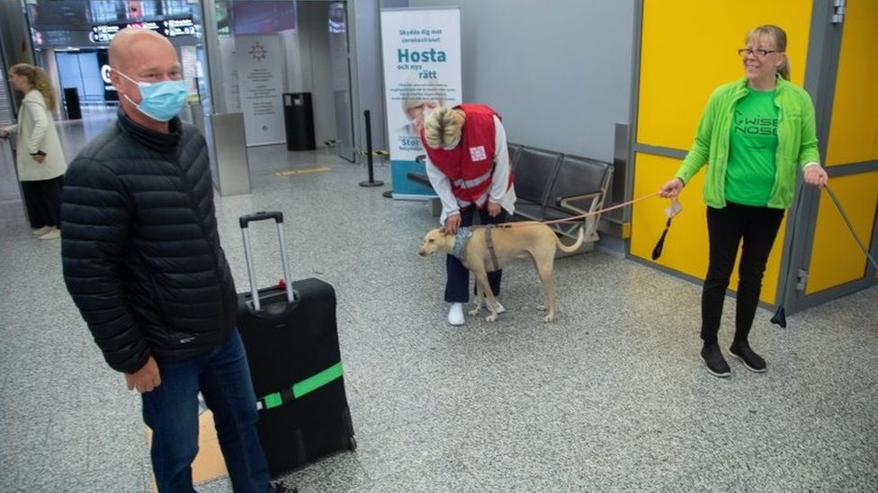 Un pasajero (izquierda) se prepara para ser examinado por el perro rastreador Kossi.