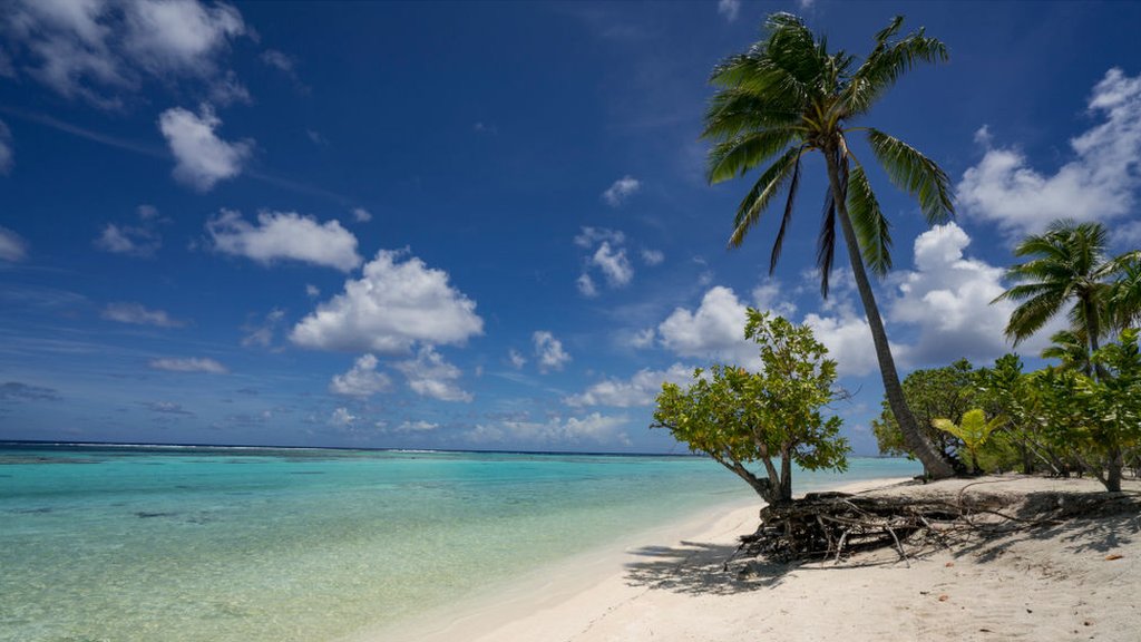 Research suggests some Pacific islands are getting bigger - CBBC Newsround