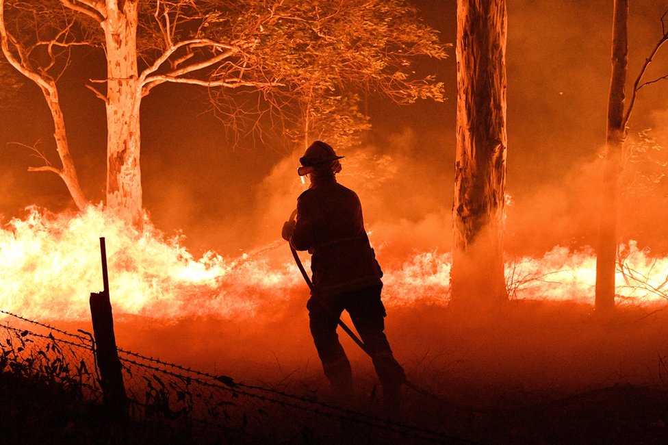 Пожарный поливает деревья и летящие угли из шланга