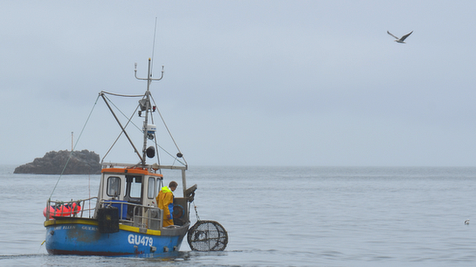 Jersey fishermen win legal case against Guernsey fisheries BBC News