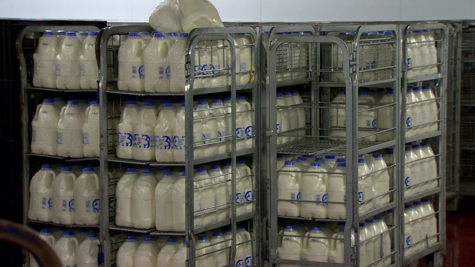 Запас молока в бутылках на молочном заводе