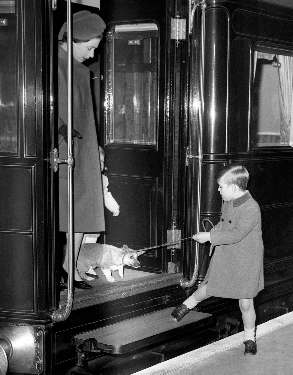 Uma foto em preto e branco de 1966 do príncipe Andrew, um menino de meias até o joelho, incentivando um relutante corgi real a deixar o trem na estação de Liverpool Street, em Londres