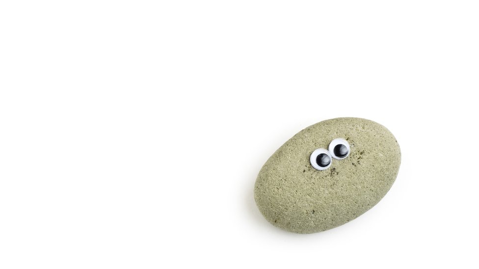 A replica of the 1970s pet rocks with goggly eyes