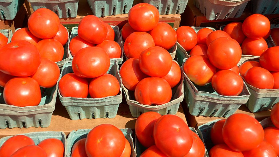 Cestas con tomates
